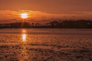 Orange Sunset Florida